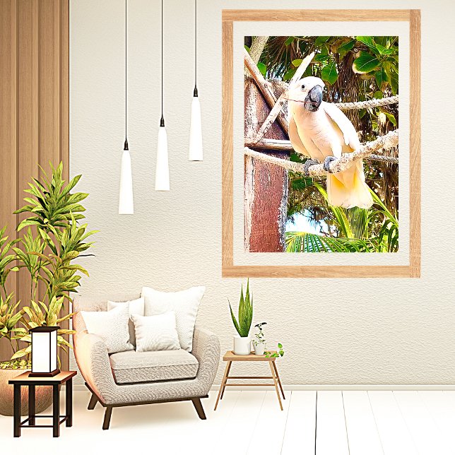 Poster Perroquet blanc tropical mexicain (Créateur téléchargé)
