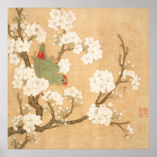 Poster Perroquet Chinois Oriental Et Fleurs De Poirier