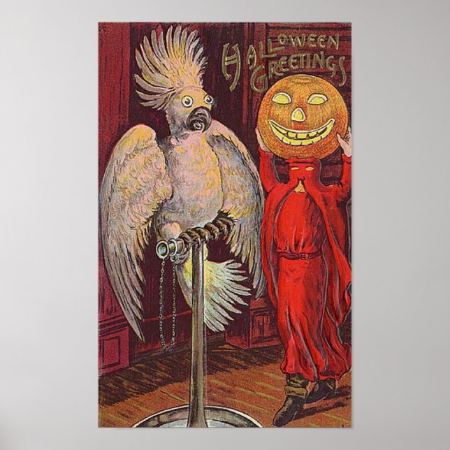 Poster Perroquet d'Halloween et Citrouille (Devant)