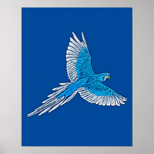 Poster Perroquet en vol, bleu et blanc de cobalt