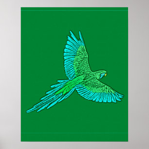 Poster Perroquet en vol, Jade Green et Turquoise