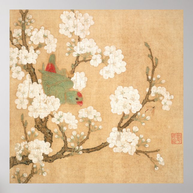 Poster Perroquet Et Fleurs De Poires Chinoises Orientales (Devant)