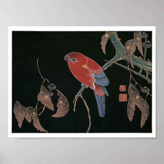Poster Perroquet rouge sur la branche d'un arbre, Jakuchú (Devant)