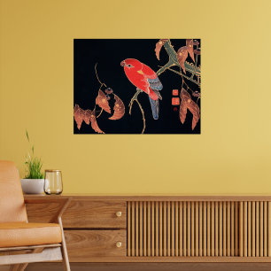 Poster Perroquet rouge sur une branche d'arbre,