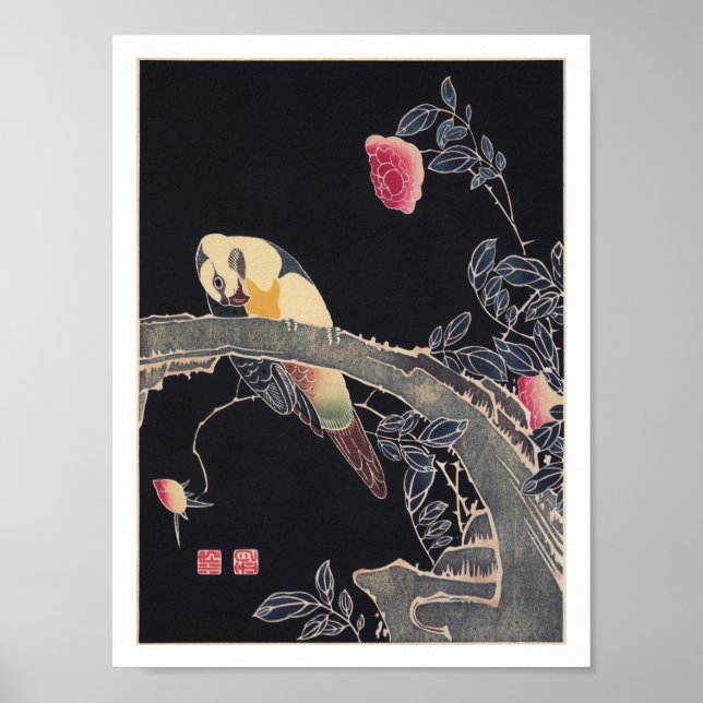 Poster Perroquet sur la branche, Flower Rose Bush, Jakuch (Devant)