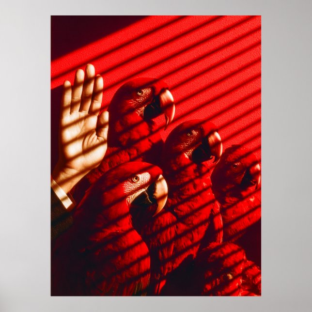 Poster Perroquets rouges et main (Devant)