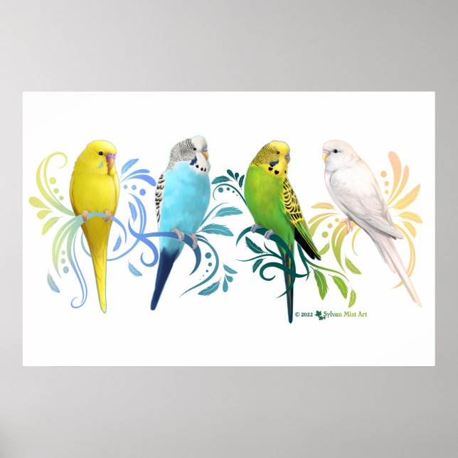 Poster Perruques colorées (Devant)