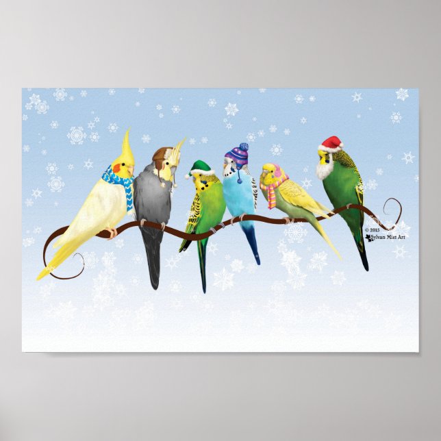 Poster Perruques d'hiver et Cockatiels (Devant)