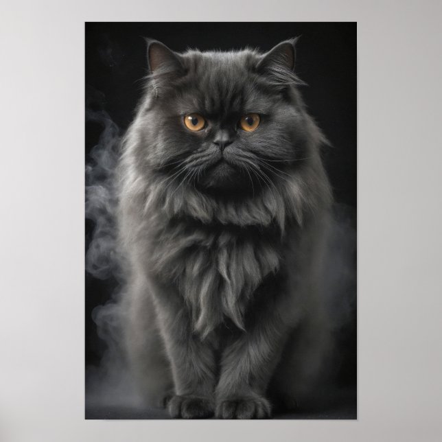 Poster Perse Chat Animaux Animaux Élégants Portrait Drama (Devant)