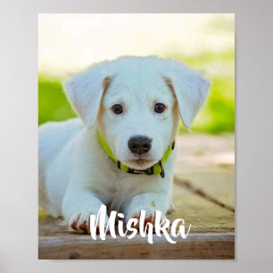 Poster Personalized custom pet photo