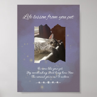 Poster Personalized Dreamy Life Lessons from your Pet