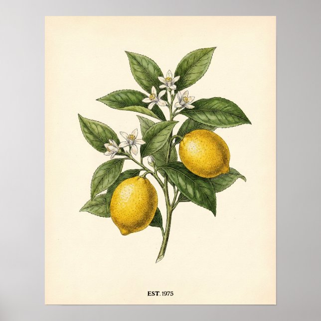 Poster Personalized Vintage Lemon Botanical Farmhouse Kit (Devant)