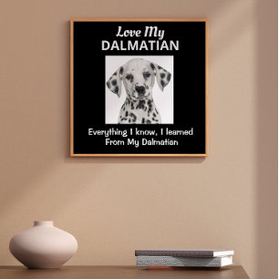 Poster personnalisé dalmate