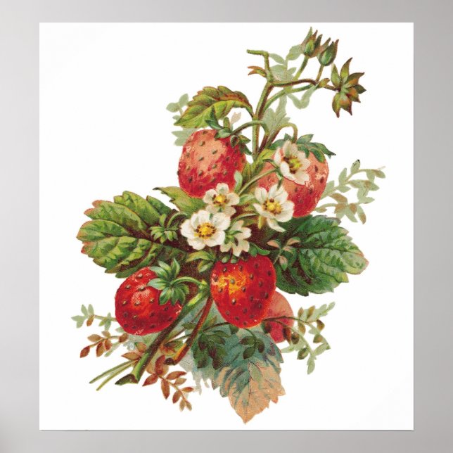 Poster personnalisé Fleurs de fraises (Devant)