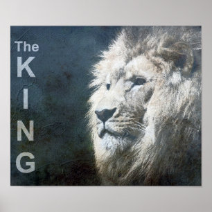 Poster Personnalisé Lion Modèle Nature Animal Photo Le Ro