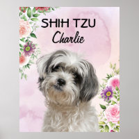 Poster personnalisé Shih Tzu