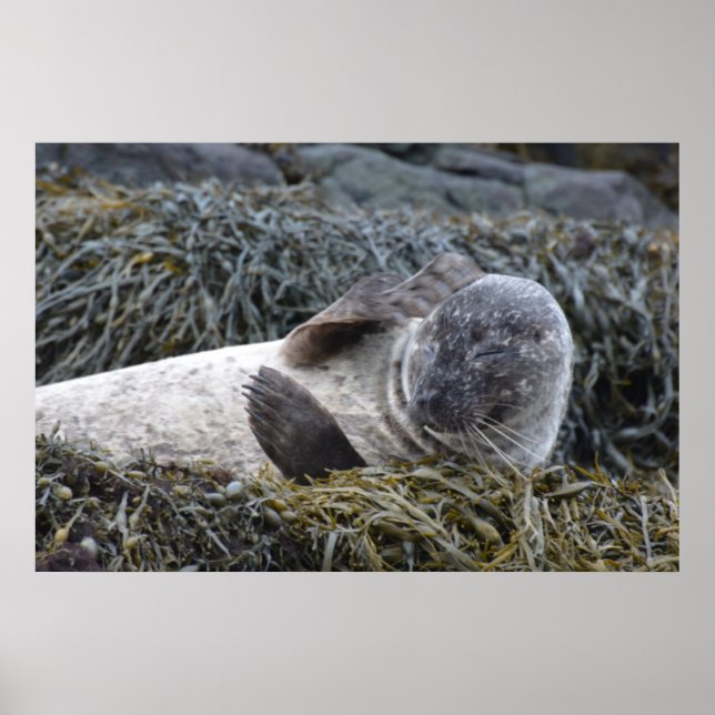 Poster Personnaliser (Devant)