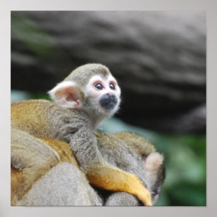 Poster Personnaliser