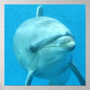 Poster Personnaliser