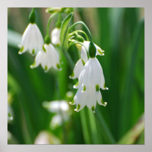 Poster Personnaliser