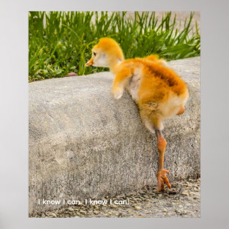 Poster Personnalisez joli poussin "Je sais que je peux. J