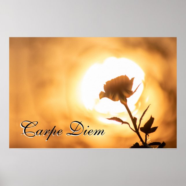 Poster Personnelle Carpe Diem brillante fleur rose au cou (Devant)