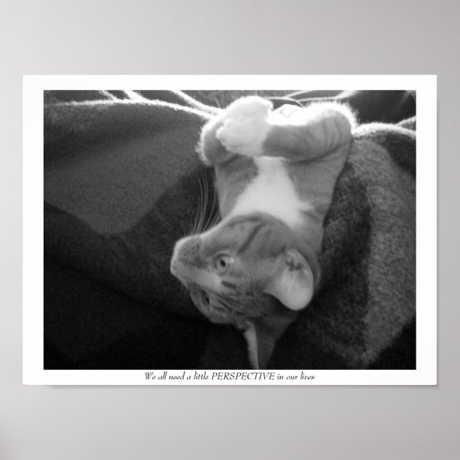 Poster Perspective (Devant)