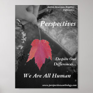 Poster Perspectives