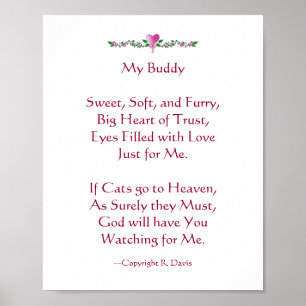 Poster Perte de la sympathie du chat animal de compagnie