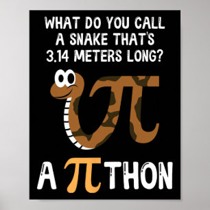 Poster Pet Snake Math Pi Day Python