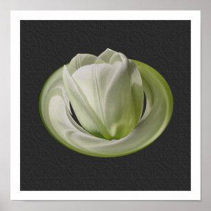 Poster Pétales de Tulipe Blanche Art Floral