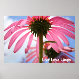 Poster Pétales roses