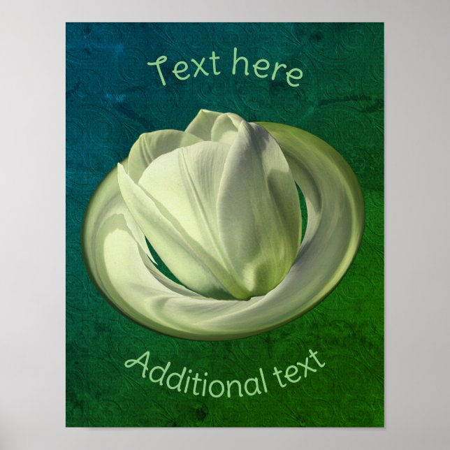 Poster Pétales Tulipe Blanche Abstrait Créer Votre Propre (Devant)