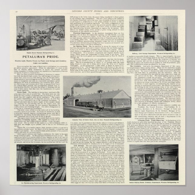 Poster Petaluma's Pride, Californie (Devant)