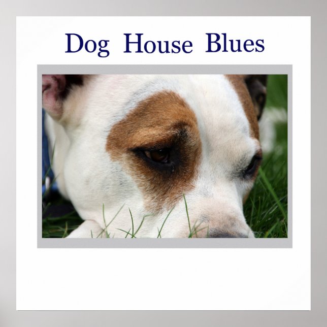 Poster Pete Pit1 (Devant)