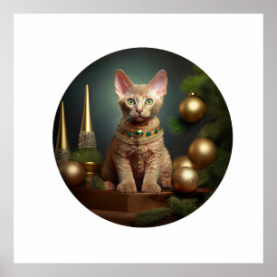 Poster Peterbald Kitten En Cadre De Noël