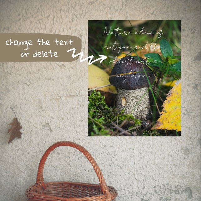 Poster Petit champignon mignon (Créateur téléchargé)