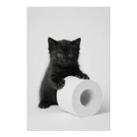 Petit chaton noir gardant un rouleau de papier toi