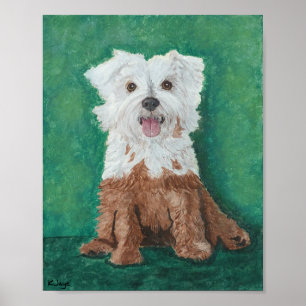 Poster Petit Chien blanc après le bain - Beaux art Imprim