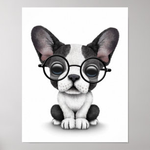 Poster Petit Chien-chien français Chien-chien avec lunett