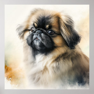 Poster Petit chiot Pekingese Aquarelle Peinture
