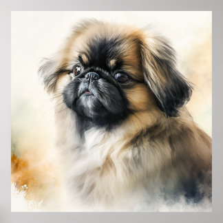 Poster Petit chiot Pekingese Aquarelle Peinture
