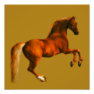 Poster Petit-fils de Godolphin Arabian, Whistlejacket