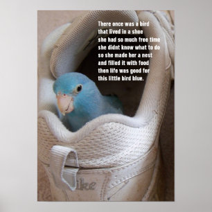 Poster Petit oiseau bleu pacifique parrotlet dans une cha