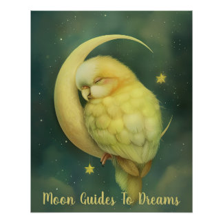 Poster Petit oiseau perroquet dormant sur Lune