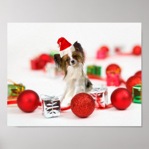 Poster Petit Papillon Chien Noël Santa Hat