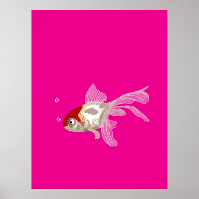 Poster Petit poisson rouge -  (Devant)