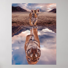 Poster Petit tigre regardant le reflet d'un tigre adulte