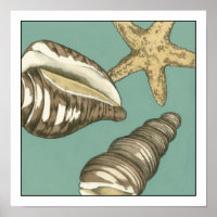 Petit trio Shell Turquoise