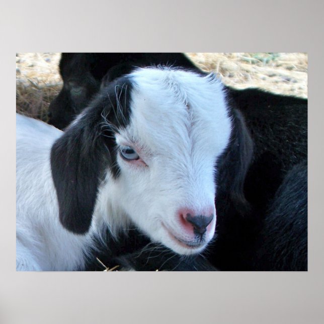 Poster Petit visage enfant (Devant)